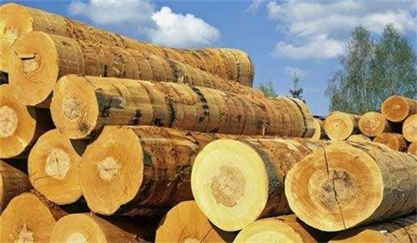 1644918901450086.jpg 天然木材