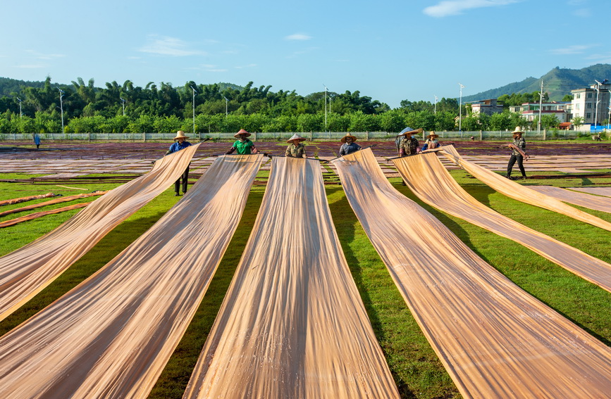 廣西蒙山：加工香雲紗