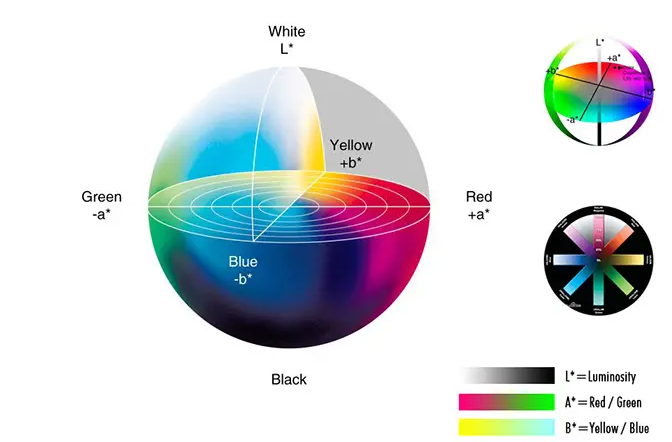 香蕉影视网站APP主要看Lab值嗎