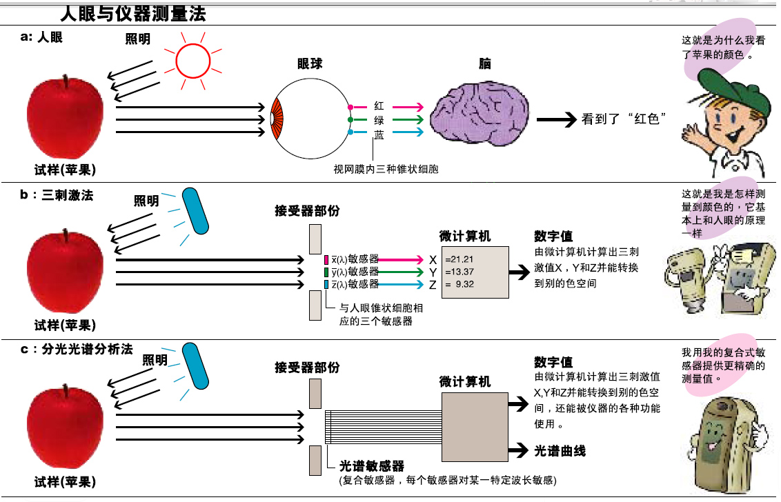 香蕉影视网站APP的分光型與三刺激值型哪個更準確