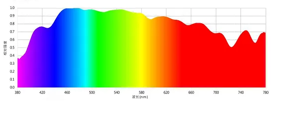 為什麽人們可以看到作為顏色的特定波長