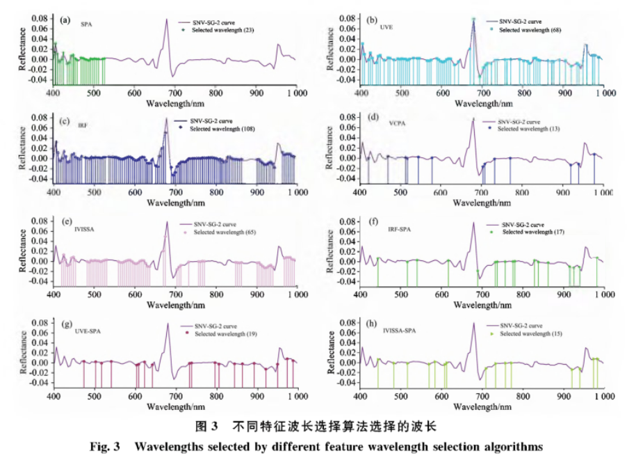 高光譜數據在損傷長棗的檢測判別中的應用4