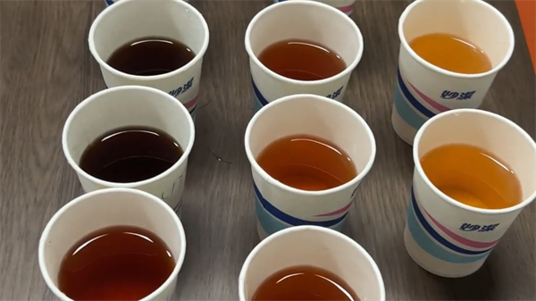 台式香蕉影视网站APP——茶水 (3)