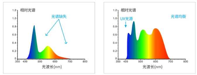 新品推薦KS-520分光香蕉影视网站APP-3
