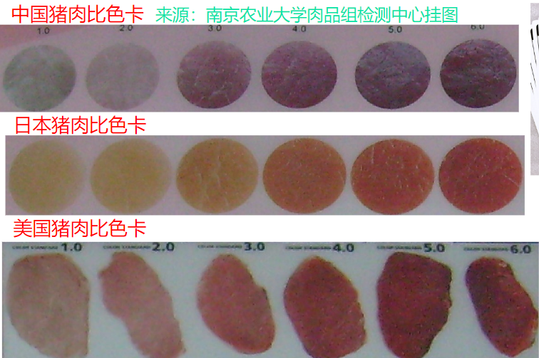 肉色測量方法——比色板法
