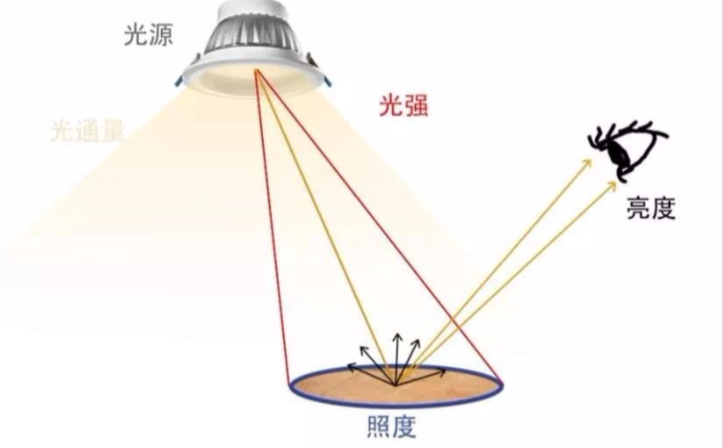 勒克斯：照度的度量單位